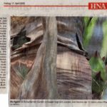 Zeitung HNA 17. April 2020