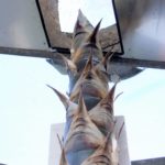 die Blüte wächst aus dem Dach, 18.03.2019