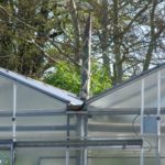 die Blüte wächst aus dem Dach, 18.04.2019