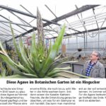 Quelle: "Hessische Allgemeine", HNA vom 8. März 2019, mit freundlicher Genehmigung