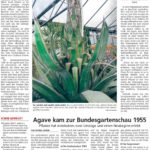 Quelle: "Hessische Allgemeine", HNA vom 8. März 2019, mit freundlicher Genehmigung