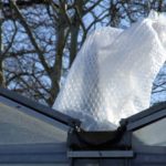 Agave Anfang April 2019