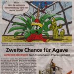 Beitrag der „Hessische Allgemeine“ mit freundlicher Genehmigung.