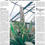 Quelle: "Hessische Allgemeine", HNA vom 8. März 2019, mit freundlicher Genehmigung