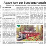 Quelle: "Hessische Allgemeine", HNA vom 8. März 2019, mit freundlicher Genehmigung